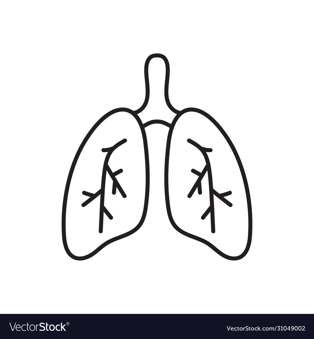 Lungs Icon Line Isolated On White Background Vector Image