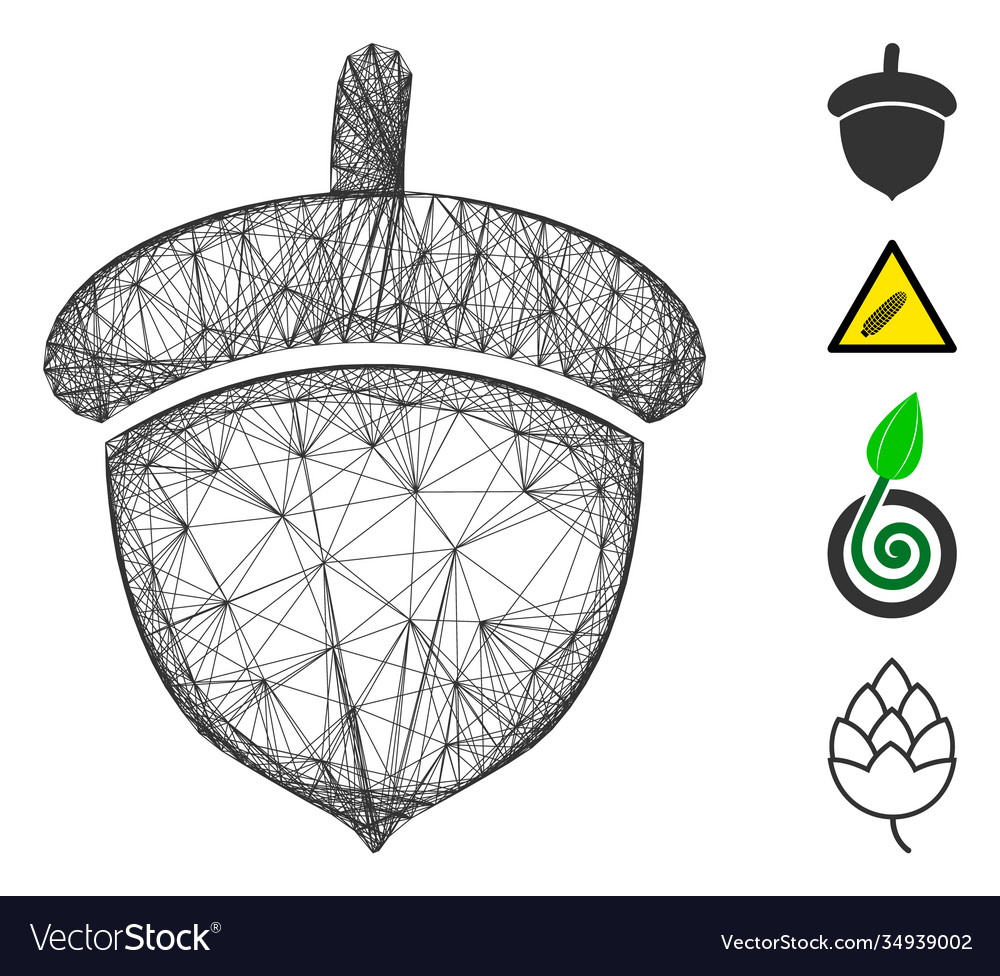 Net acorn mesh