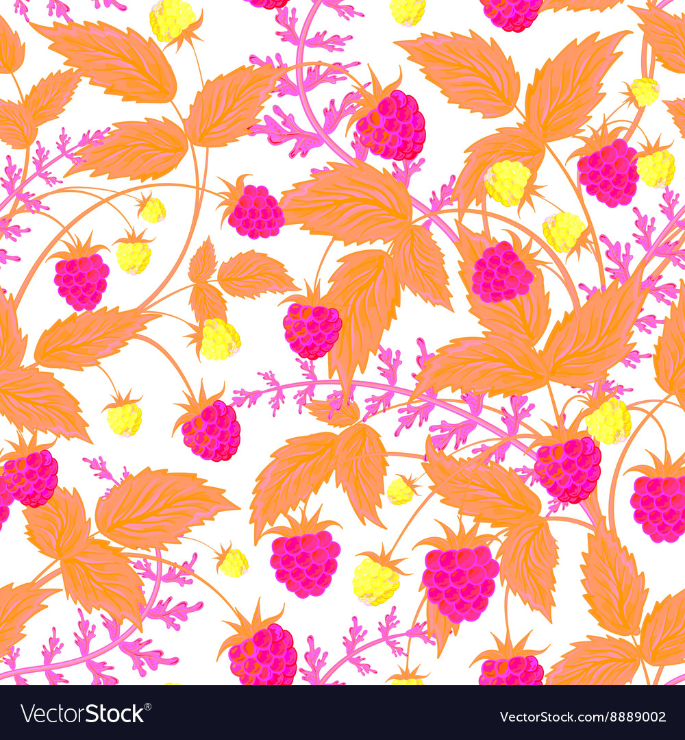 Raspberry pattern doodle seamless