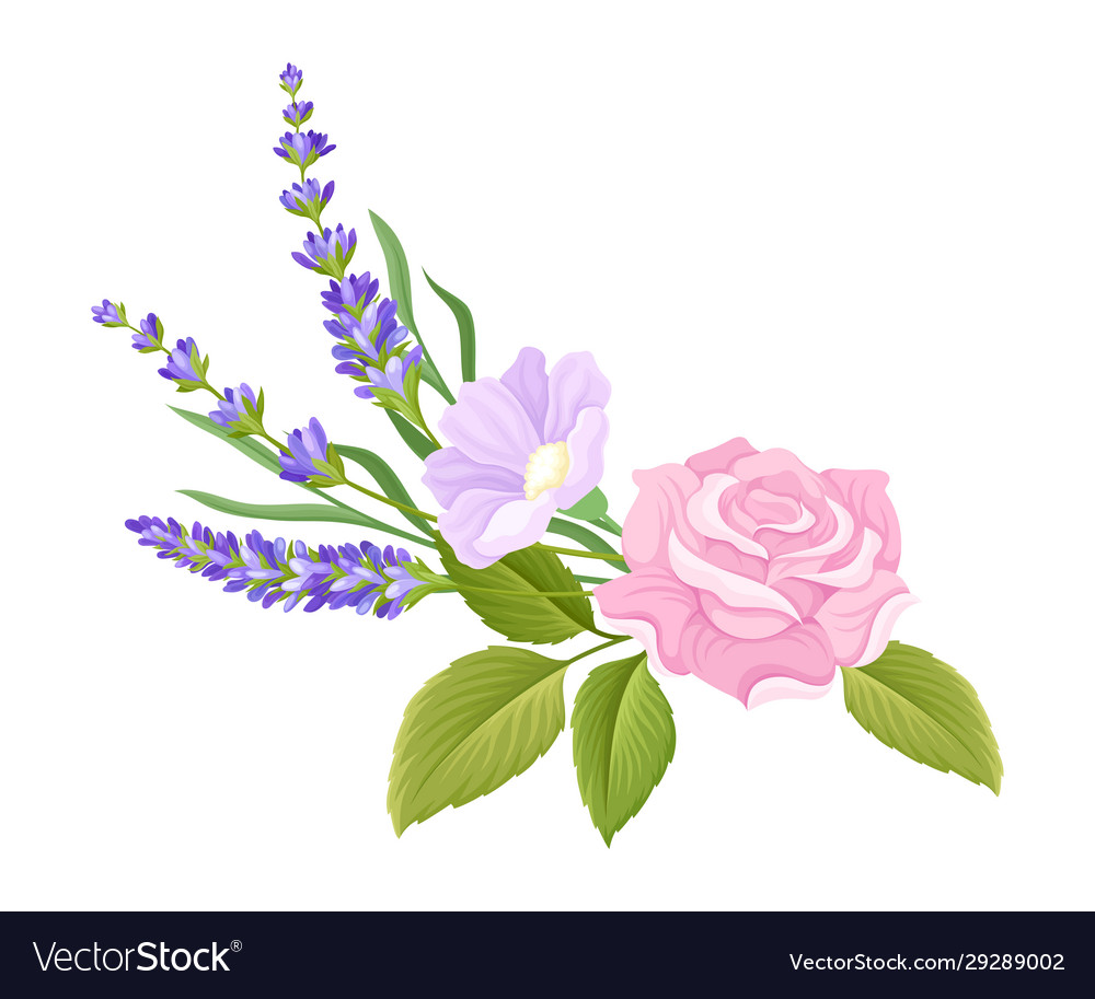 Rose bud and lavender twigs arranged in tender