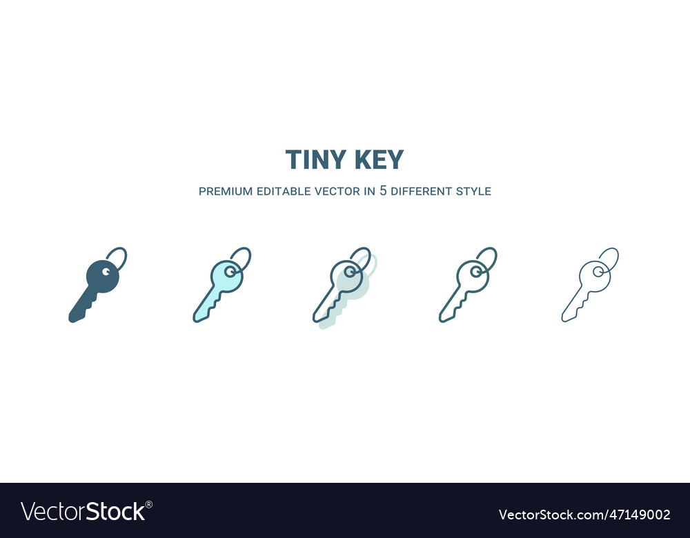 Tiny key icon in 5 different style outline filled