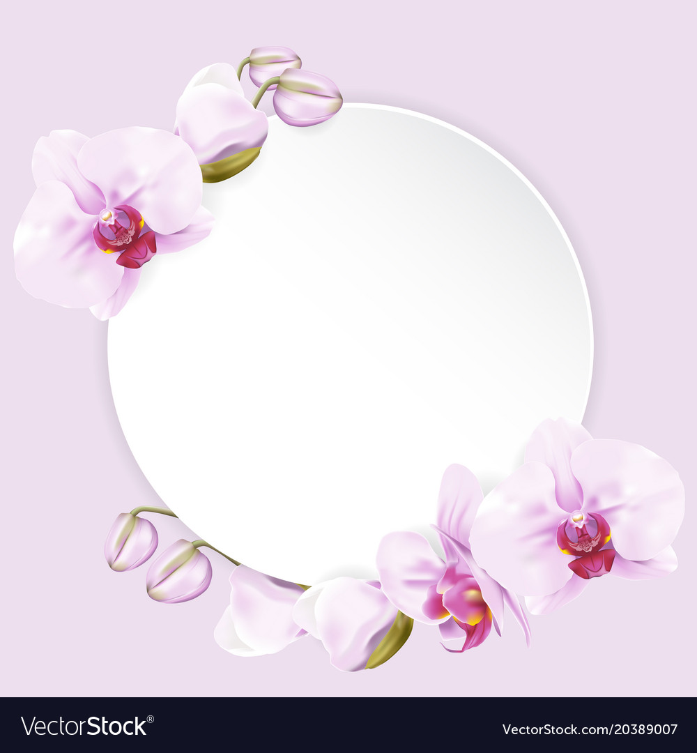 Circle paper with orchids Royalty Free Vector Image