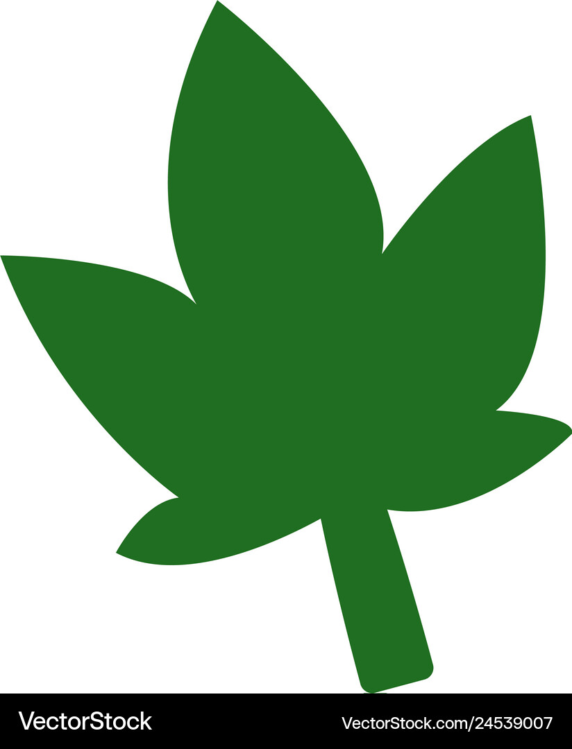 Palm leaf icon Royalty Free Vector Image - VectorStock