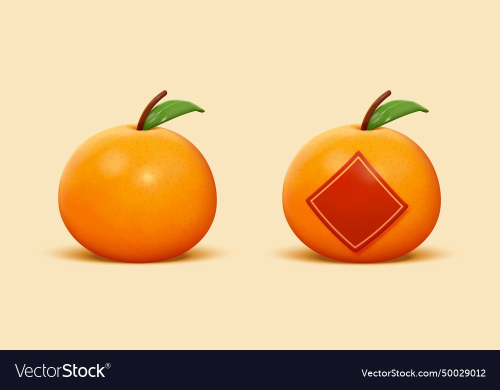 3d realistic mandarin oranges Royalty Free Vector Image