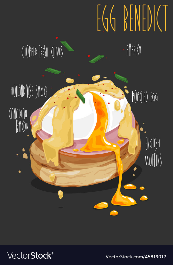 Egg benedict Royalty Free Vector Image VectorStock