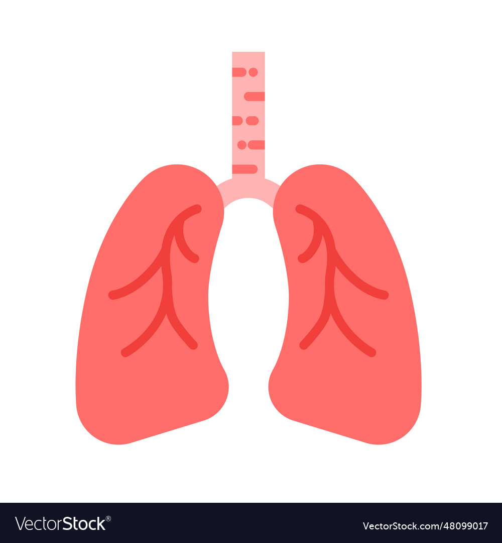 Lung icon design lungs Royalty Free Vector Image