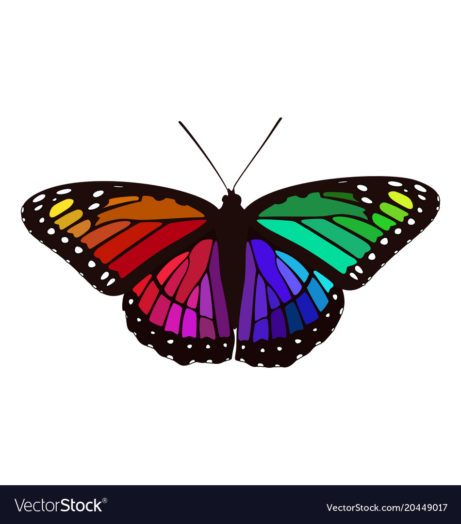 Free Free 68 Rainbow Butterfly Svg SVG PNG EPS DXF File