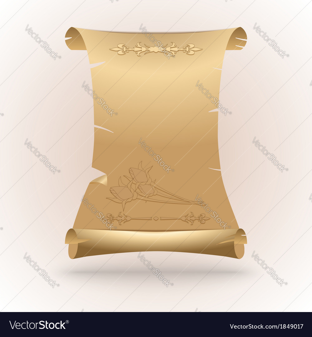 Scroll of paper Royalty Free Vector Image - VectorStock