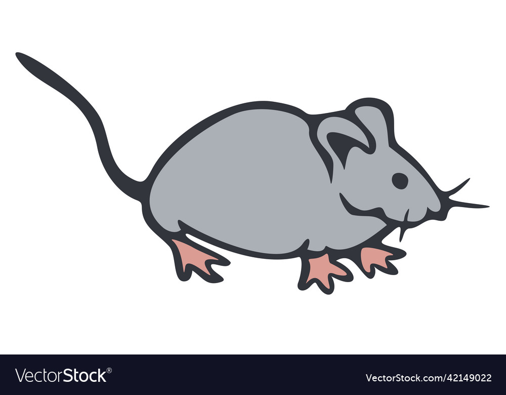 Little mouse hand drawn isolated mouse Royalty Free Vector