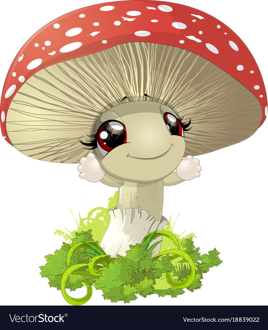 Mushrooms Royalty Free Vector Image - VectorStock