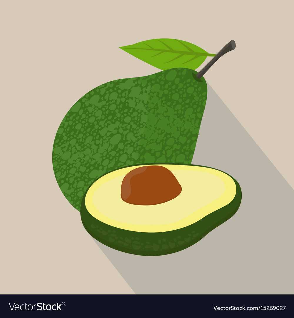 Avocado isolated flat style