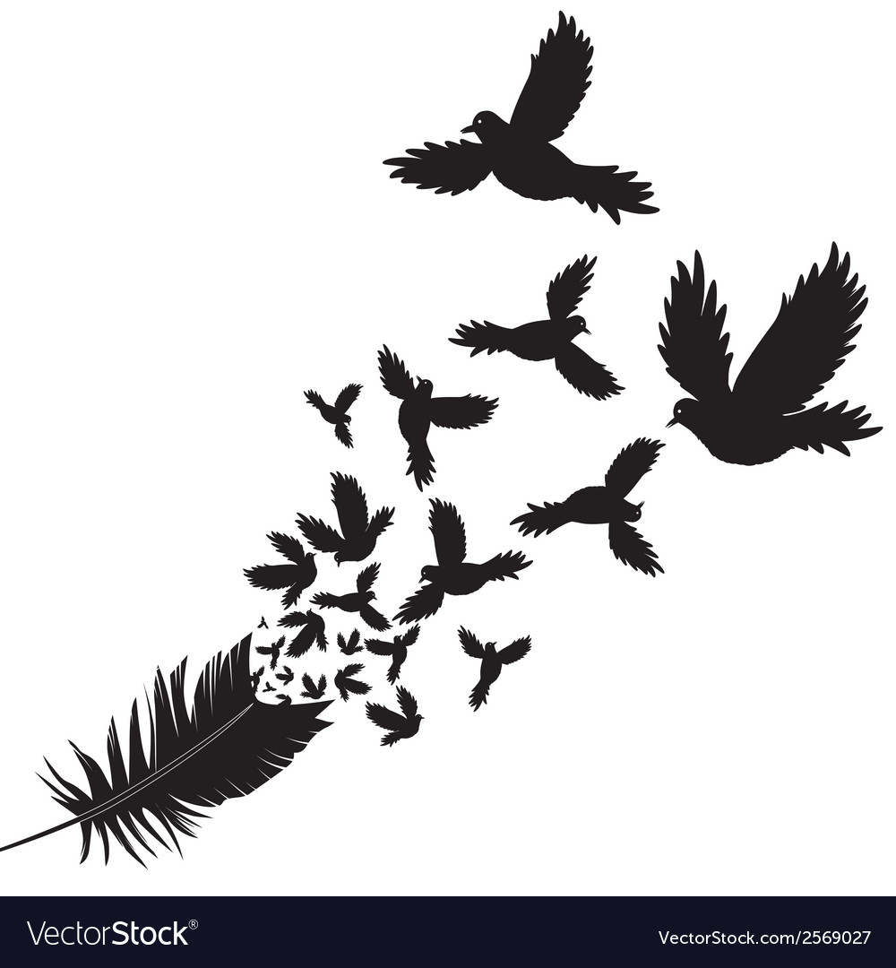 Download Feather of bird Royalty Free Vector Image - VectorStock