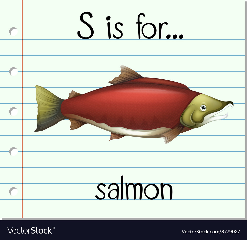 Flashcard letter s is for salmon Royalty Free Vector Image