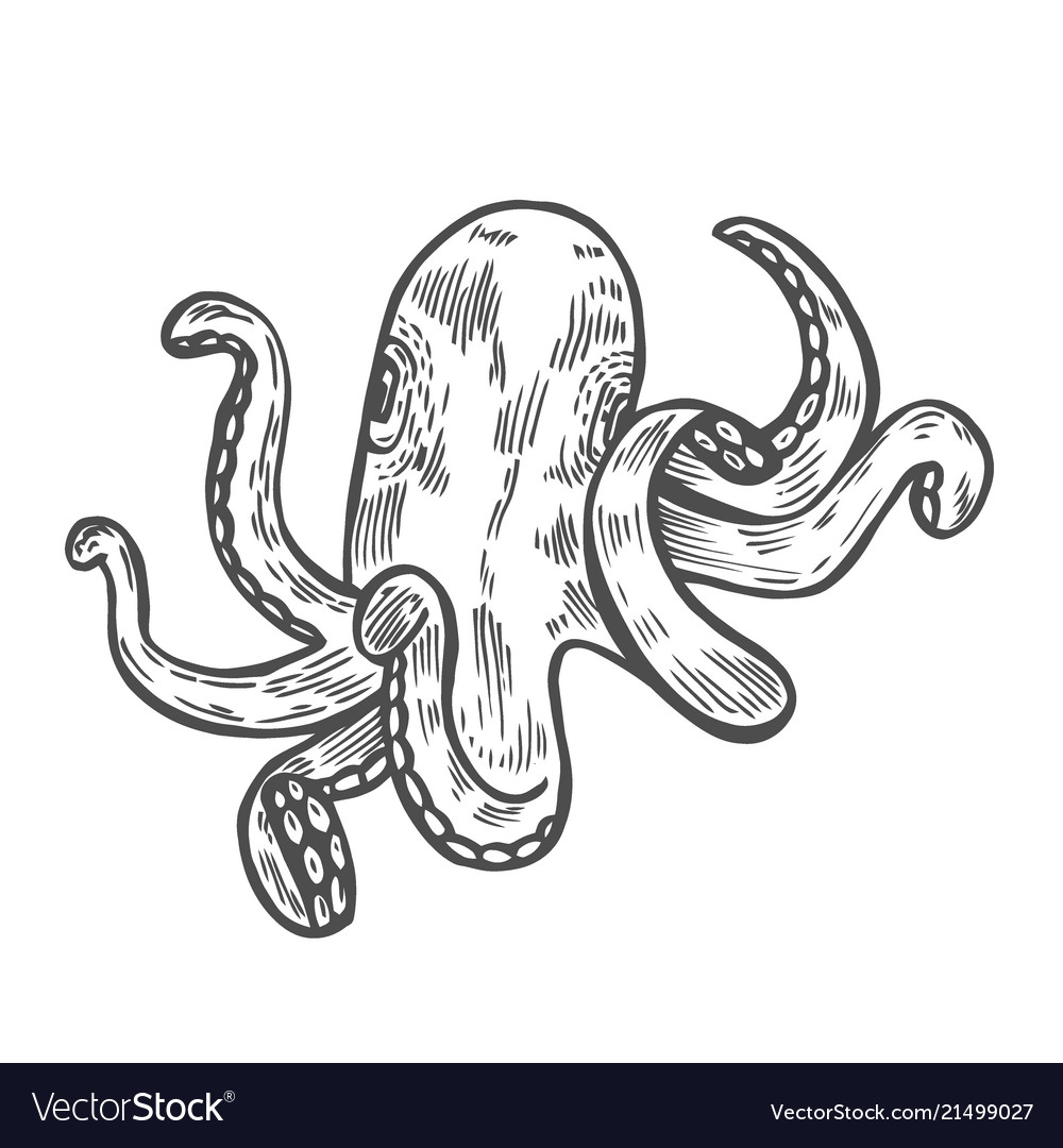 Octopus black engraving Royalty Free Vector Image