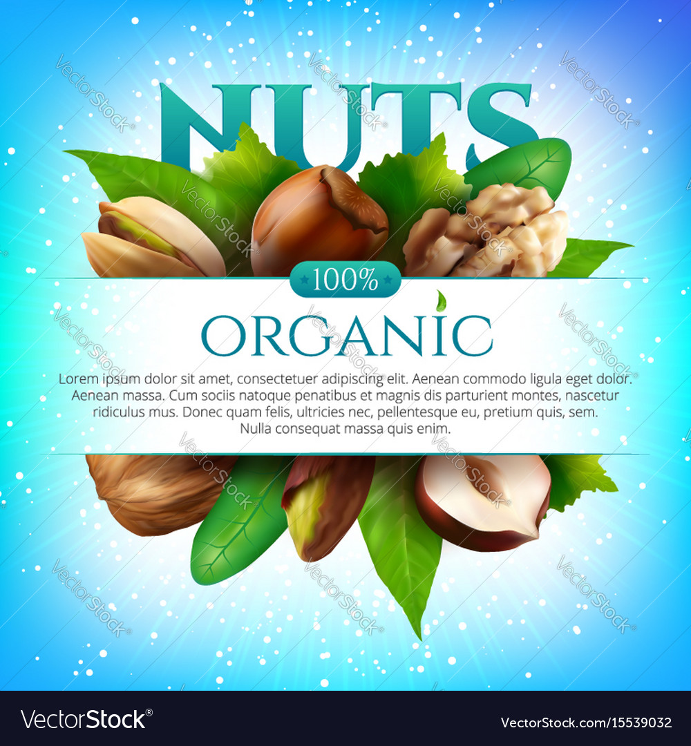 Frame of realistic nuts with leaves
