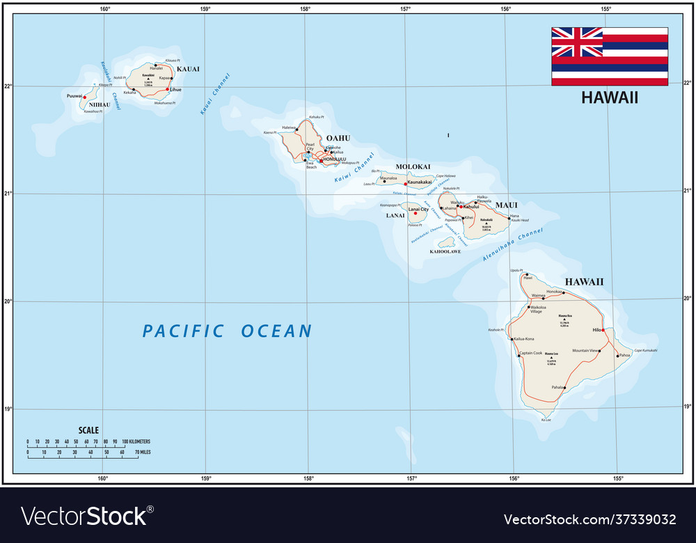 Map us state hawaii with flag Royalty Free Vector Image