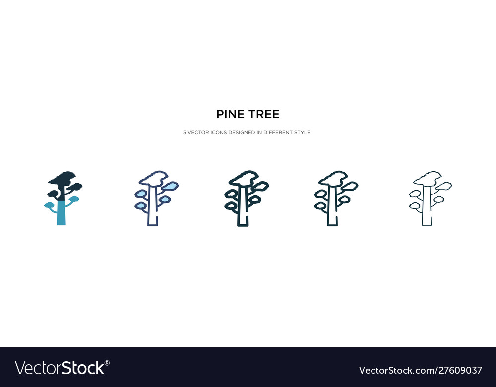 Pine tree icon in different style two colored