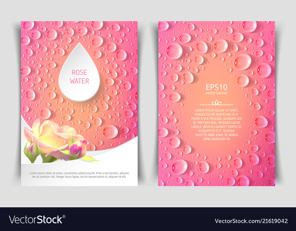 Two Sided Vertical Flyer Format With Roses Vector Image