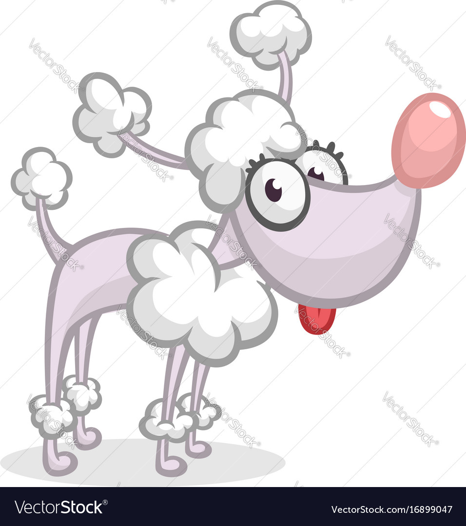 Gray Cartoon Poodle Isolated Royalty Free Vector Image