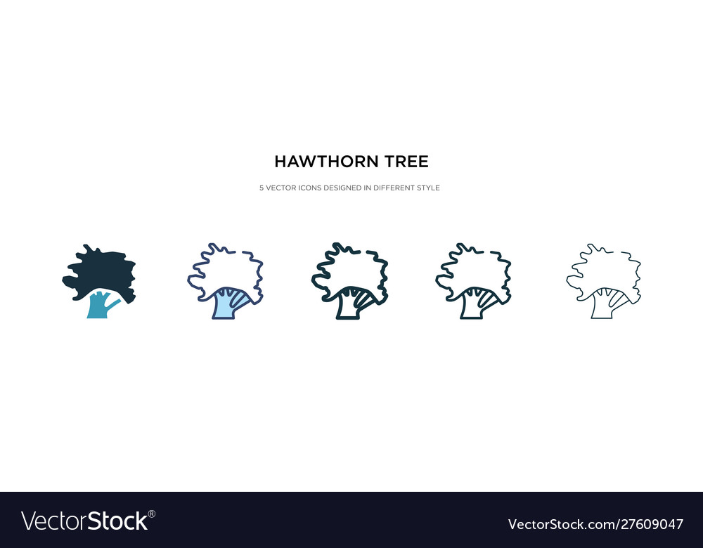 Hawthorn tree icon in different style two