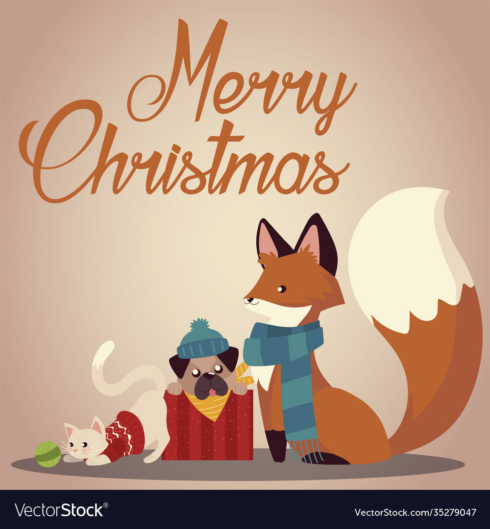 Merry christmas cute fox dog and cat with sweater