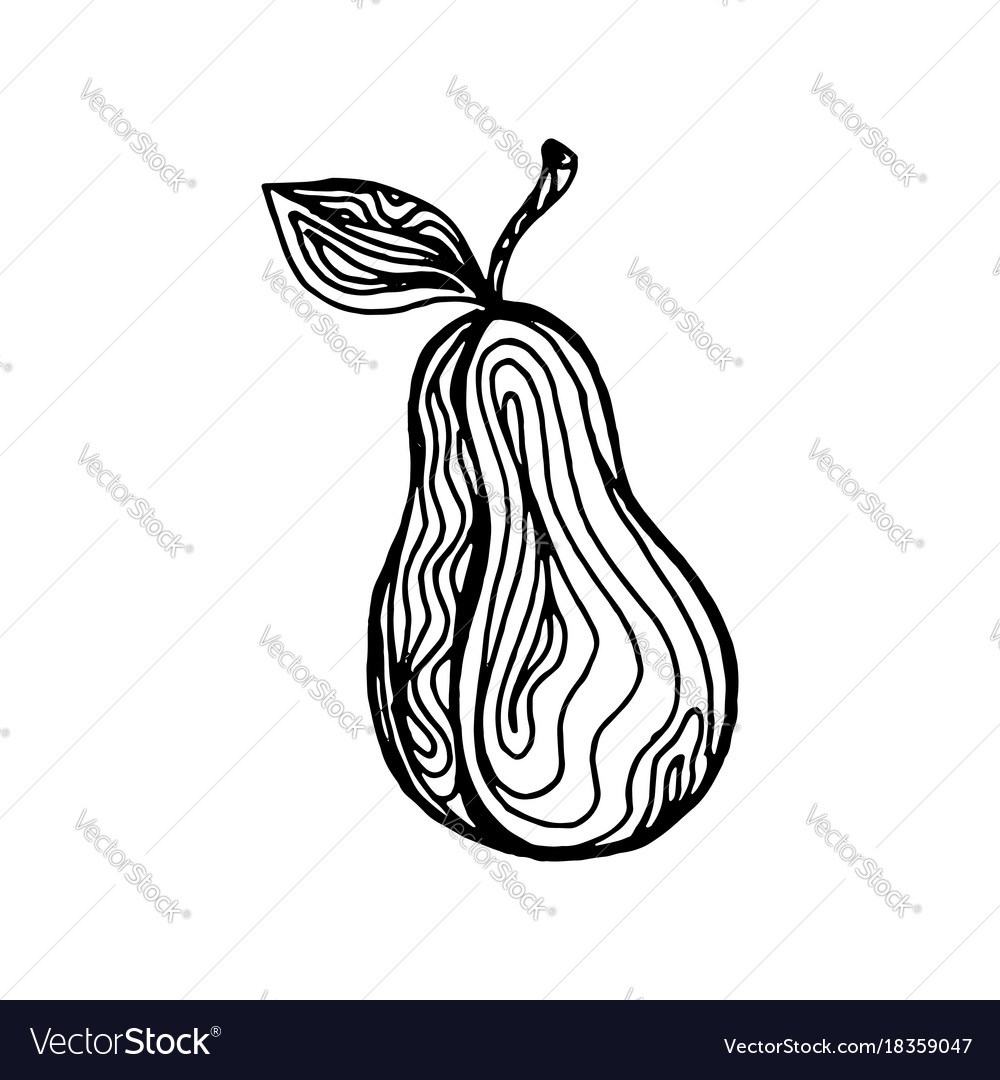 Pear ink sketch