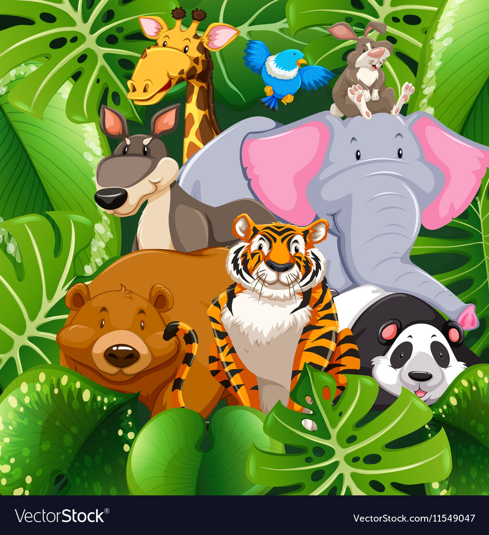 Wild animals in the bush Royalty Free Vector Image