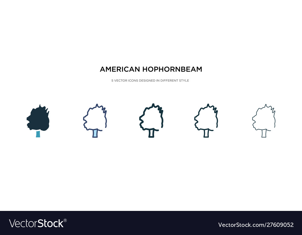 American hophornbeam tree icon in different style