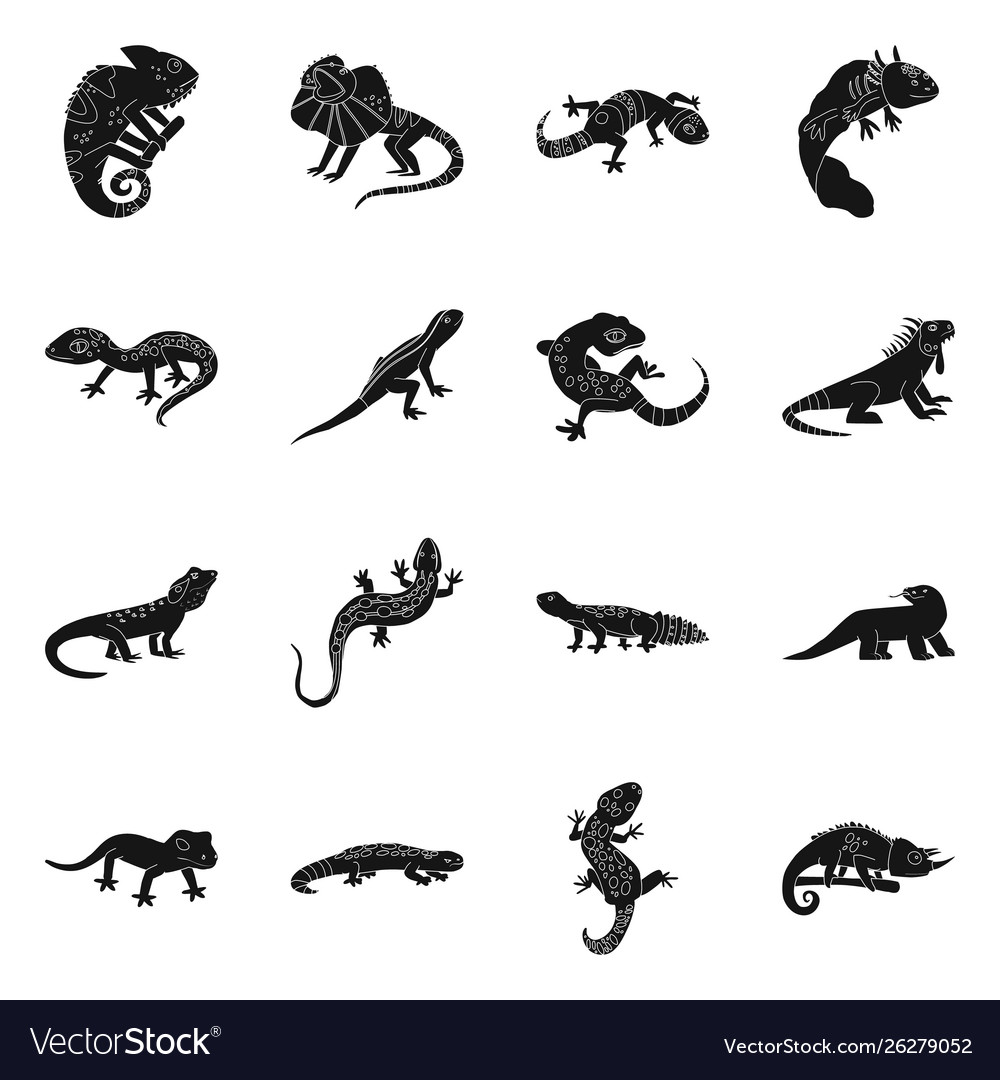 Design zoo and environment symbol set vector image Design zoo and environment symbol set