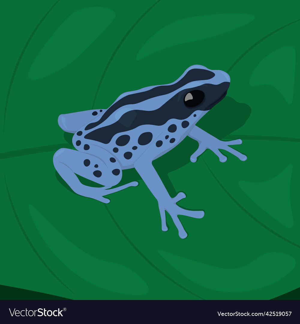 Blue Spot Tropical Frog On Leaf Royalty Free Vector Image