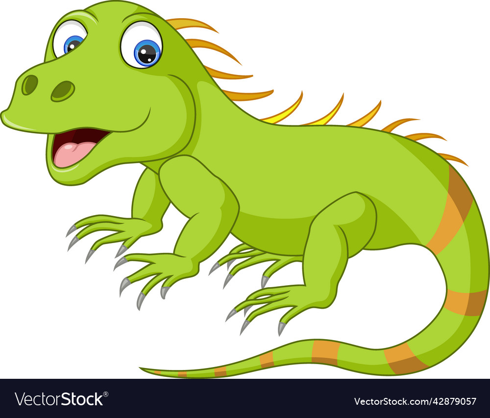 Cute iguana cartoon isolated on white background Vector Image