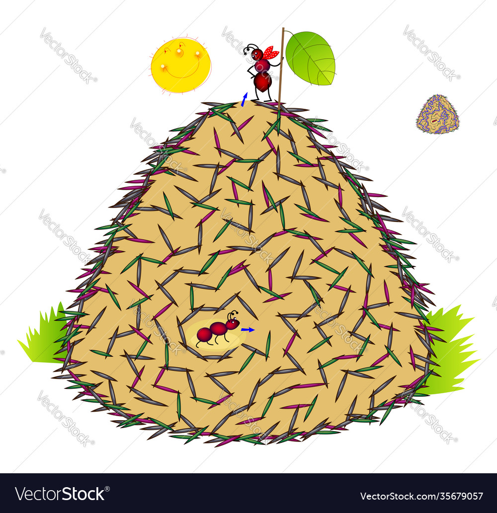 Logic puzzle game with labyrinth for children vector image Logic puzzle game with labyrinth for children