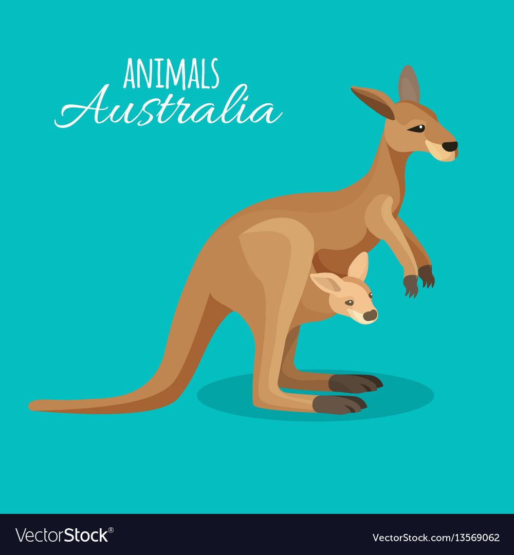 Austrastralia kangaroo animal mother with child Vector Image Austrastralia kangaroo animal mother with child Vector Image