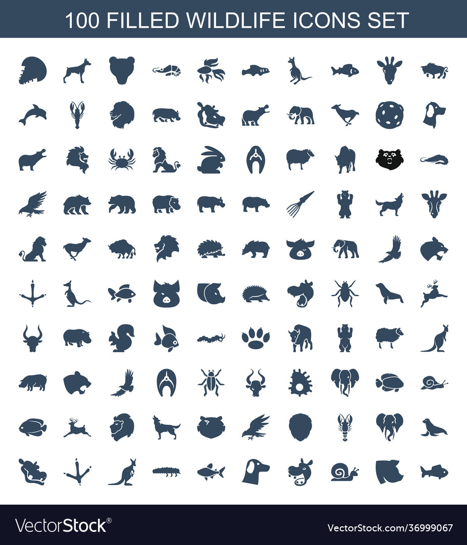 100 wildlife icons