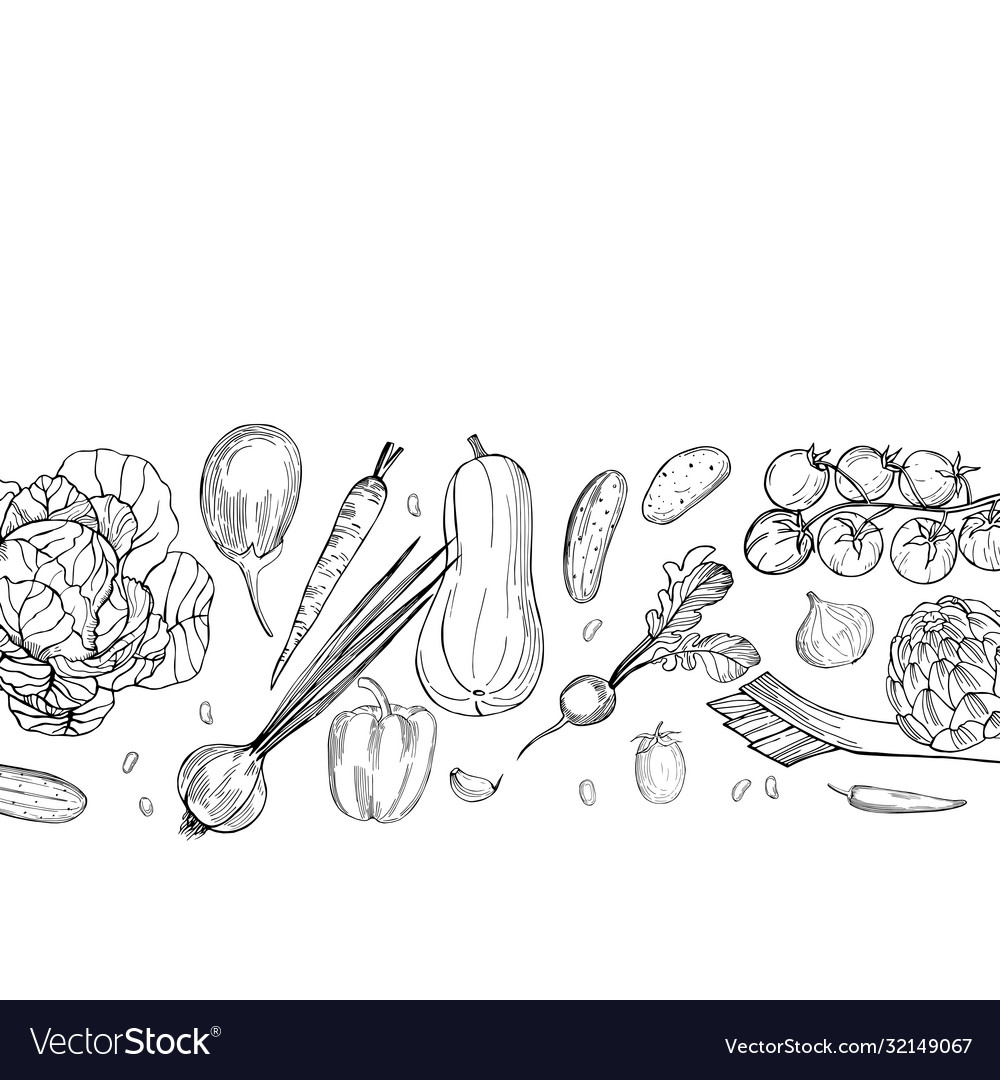 Background with hand drawn vegetables sketch Vector Image