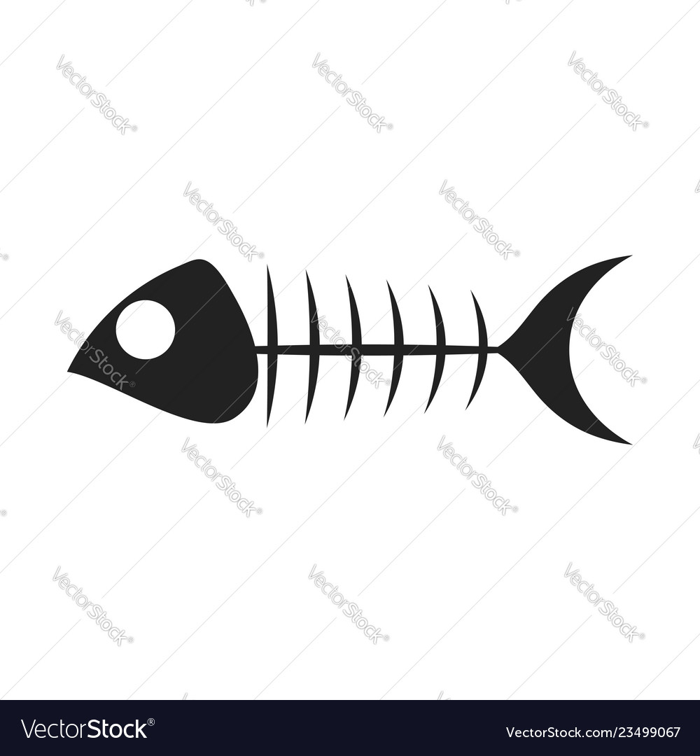 Fisch Skelett Art