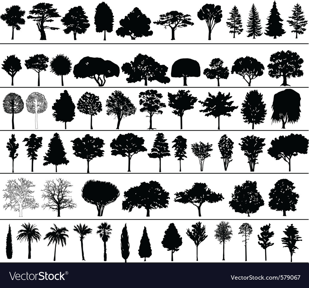 Trees
