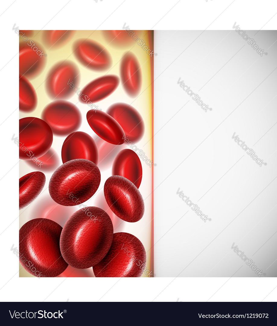 Blood cells Royalty Free Vector Image - VectorStock