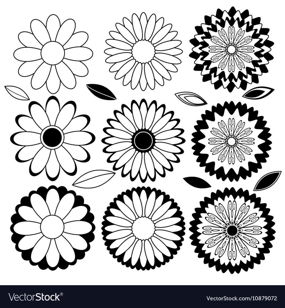 Flowers black and white Royalty Free Vector Image