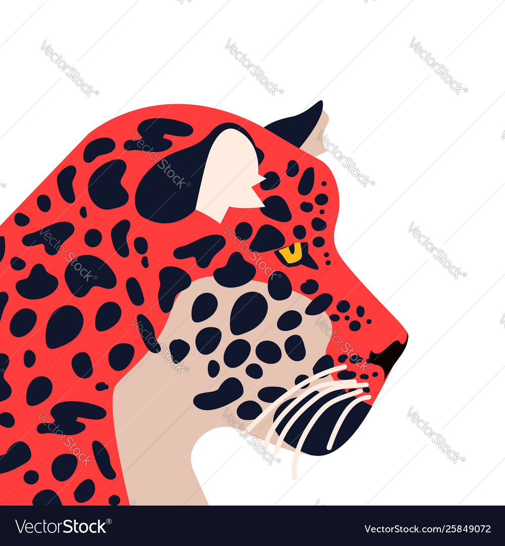 Wild jaguar animal on isolated background Vector Image Wild jaguar animal on isolated background Vector Image