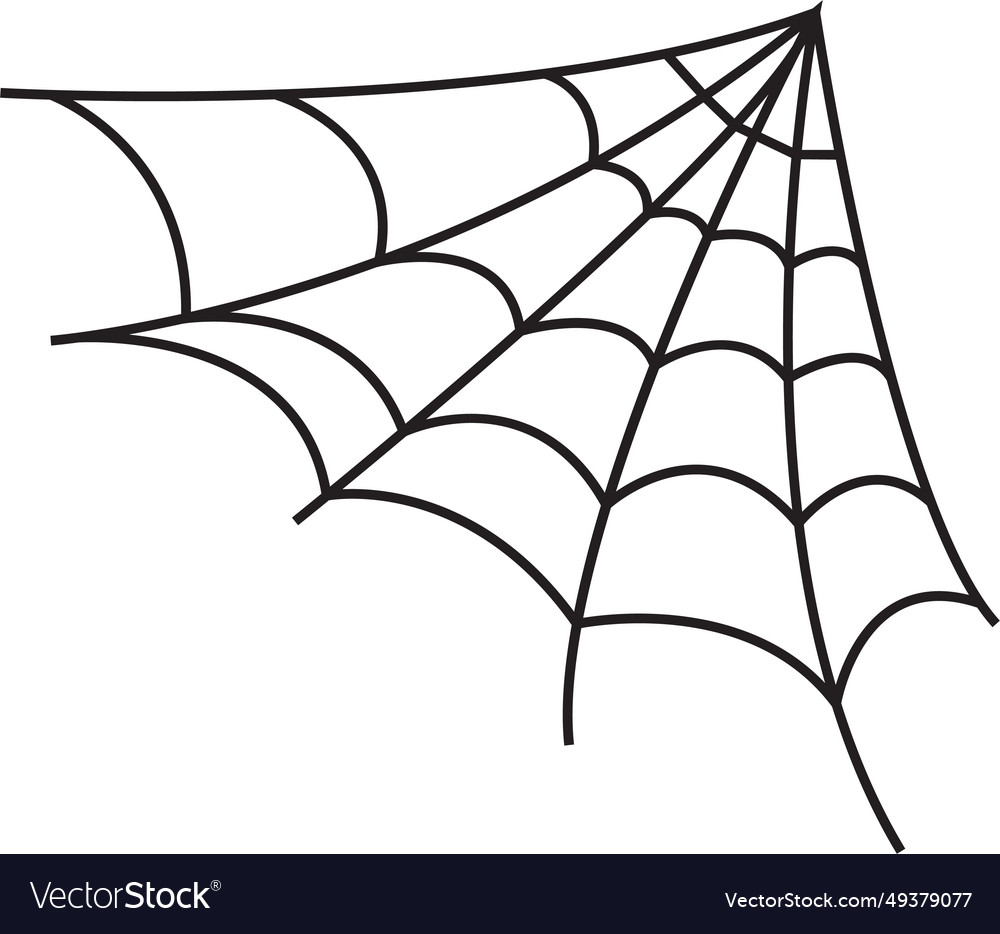 Spider web on transparent background spiderweb