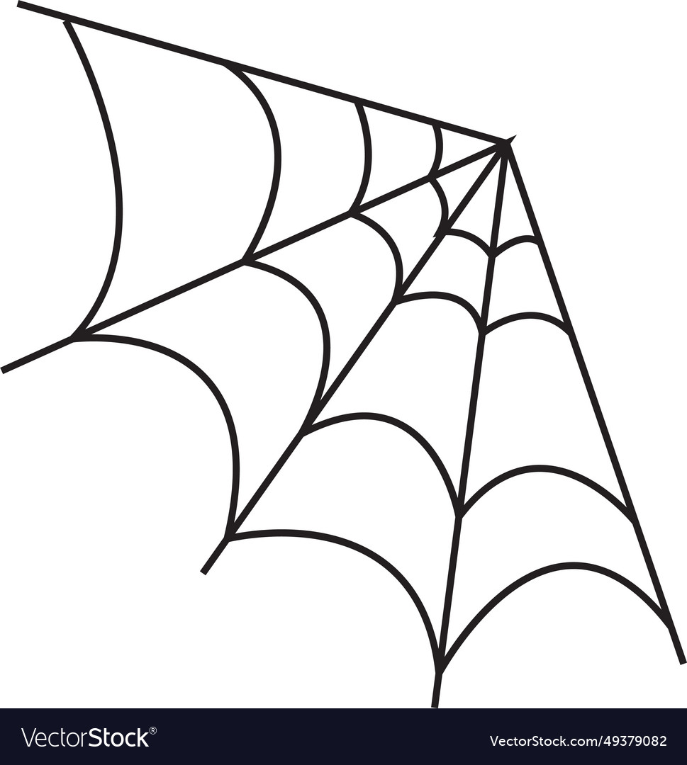 Spider web on transparent background spiderweb vector image Spider web on transparent background spiderweb