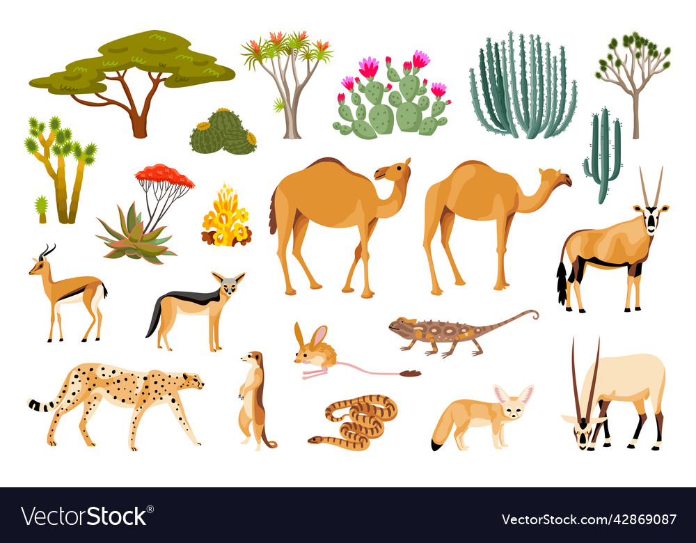 Desert flora and fauna cartoon set Royalty Free Vector Image