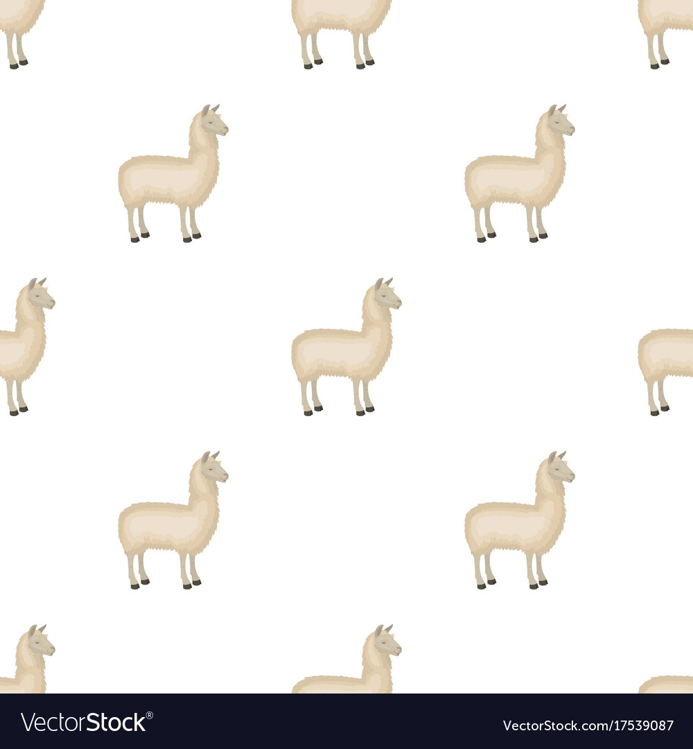 lama a south american pack animal a lame a vector image