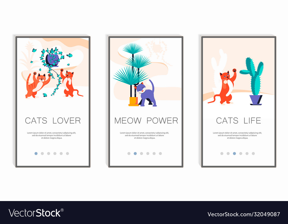 Playful kitten mobile app screens