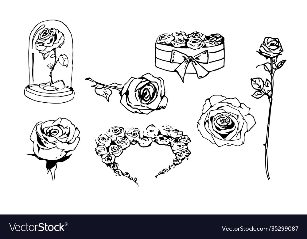 Set hand draw rose flowers doodle vector image Set hand draw rose flowers doodle