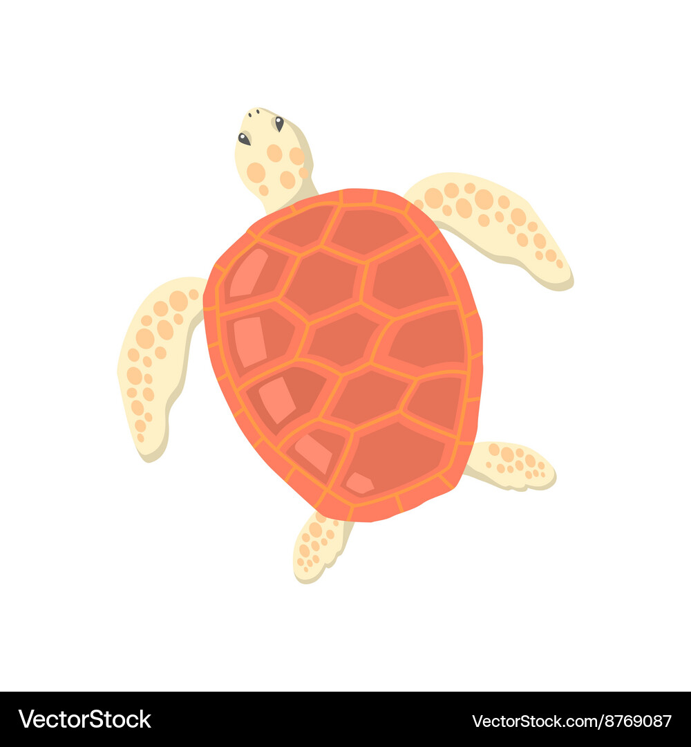 Turtle isolated on white background Royalty Free Vector
