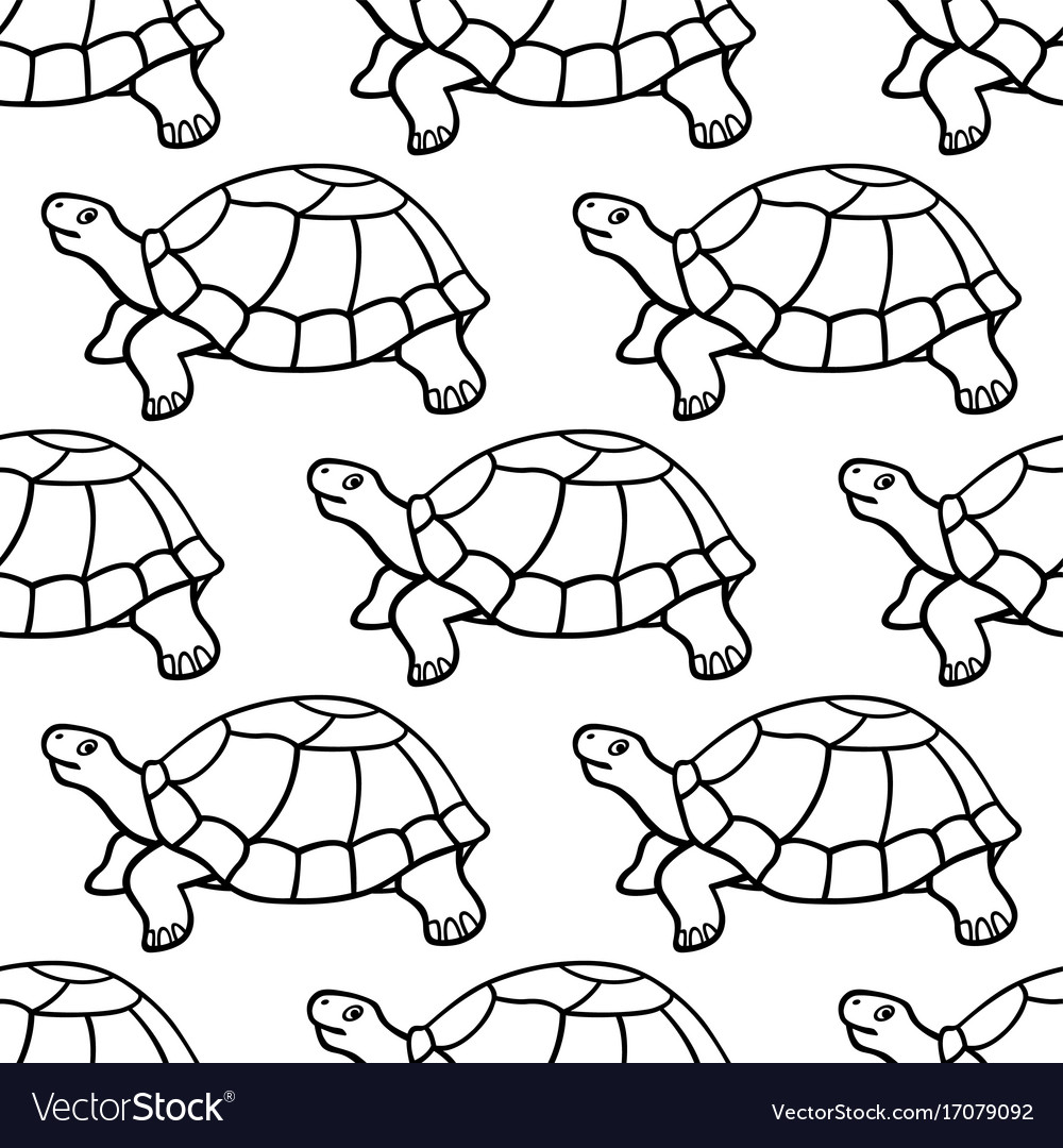 Turtle contour pattern