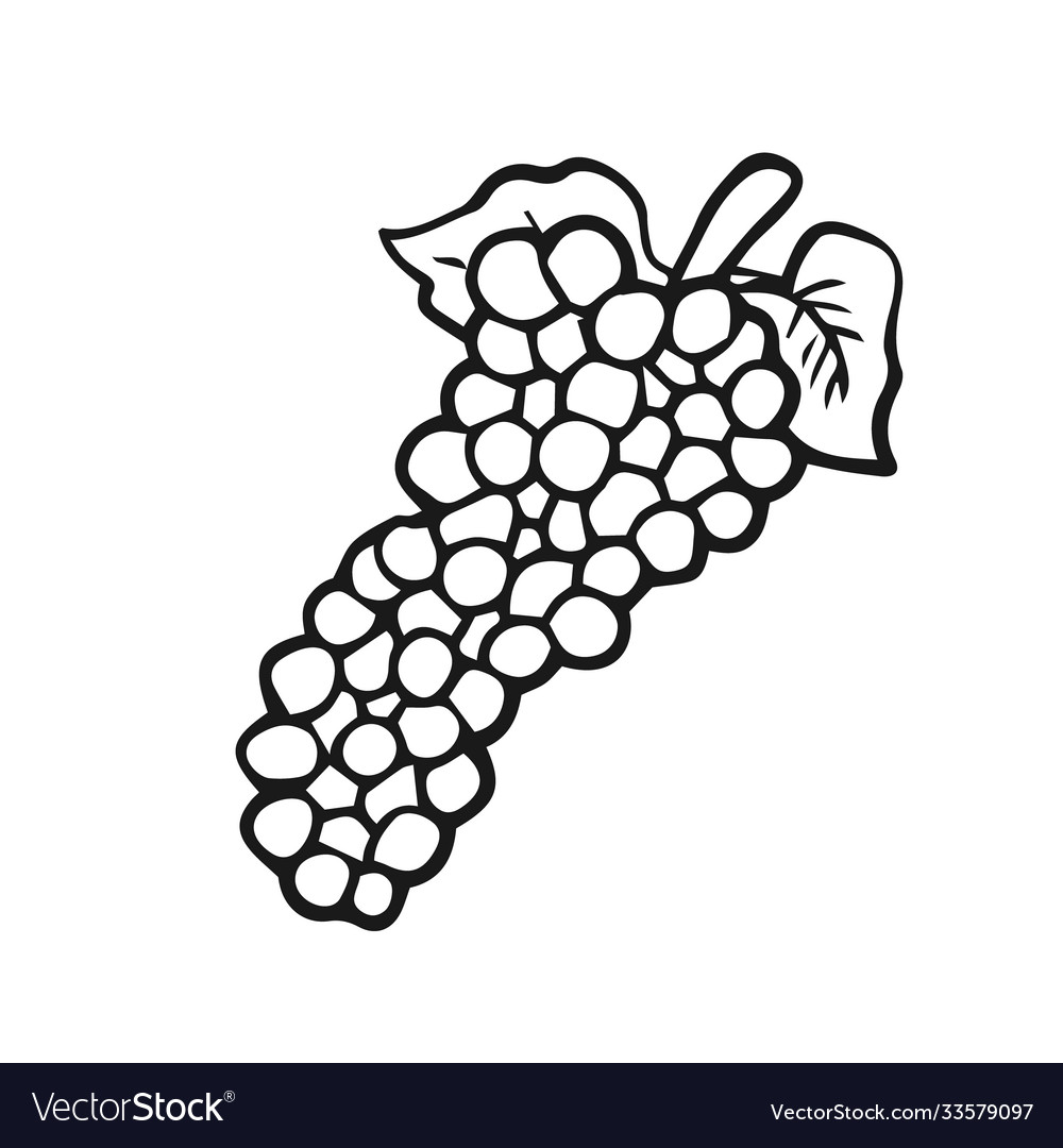 Grape fruit outline design Royalty Free Vector Image