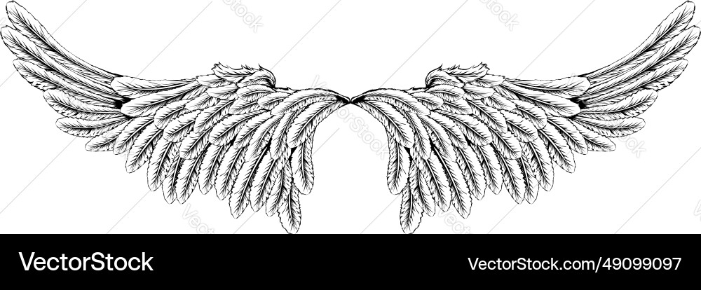 Wings Royalty Free Vector Image - VectorStock